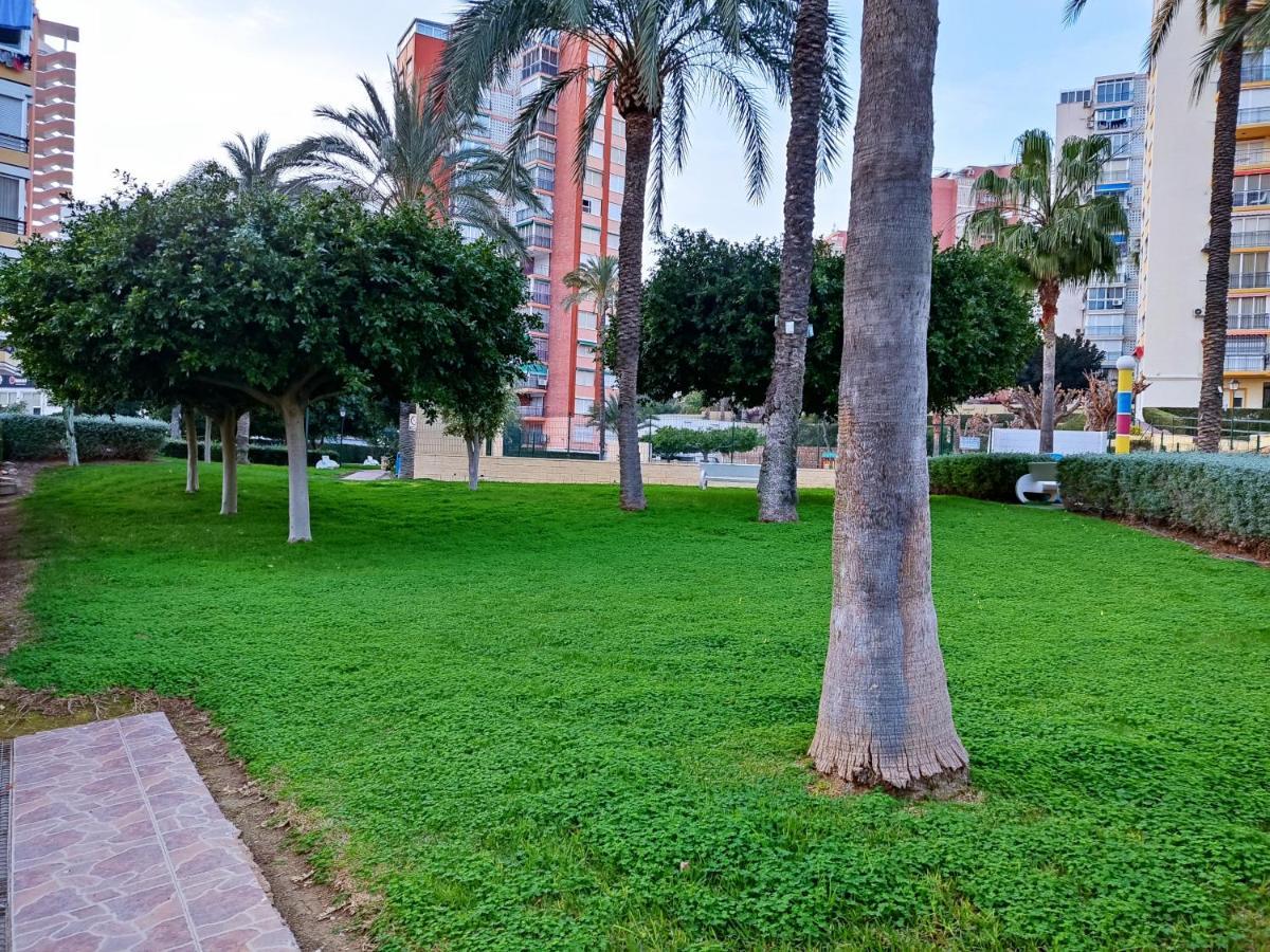 Piso Calleja Benidorm Exteriér fotografie